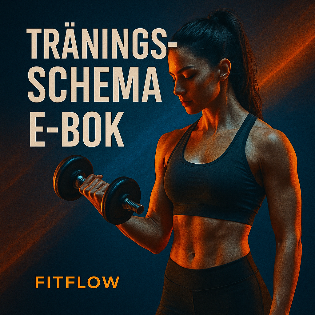 Träningsschema e-bok